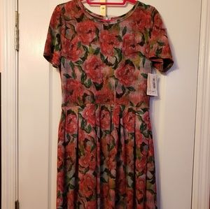 LulaRoe Amelia dress
